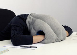 鸵鸟枕头 鸵鸟枕头