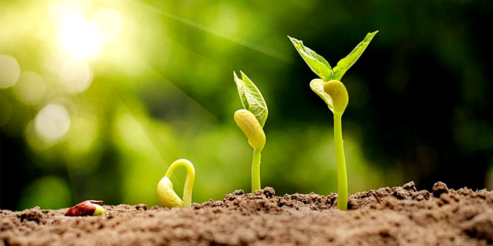 012302.jpg 012302.jpg